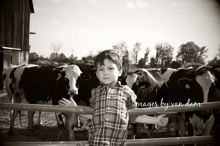 stayner photographer barrie photographer family portraits wasaga photographer collingwood photographer