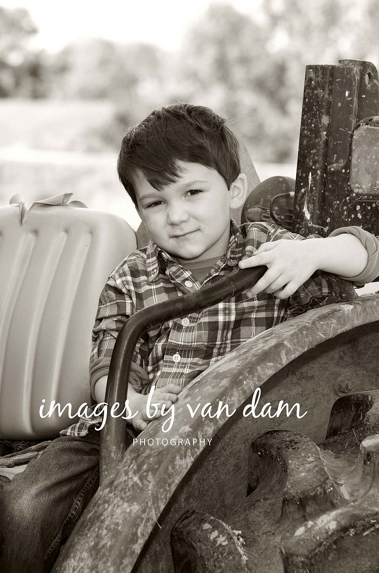 stayner photographer barrie photographer family portraits wasaga photographer collingwood photographer