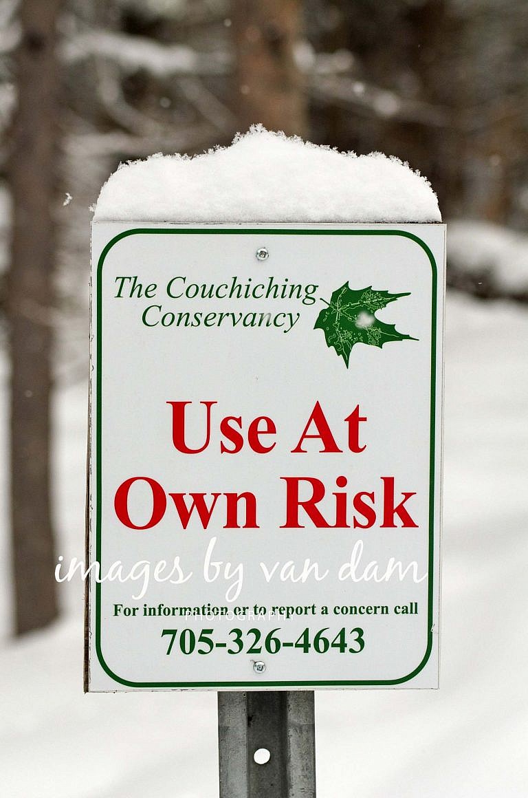 orillia photographer-10