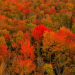 Aerial Drone Photography