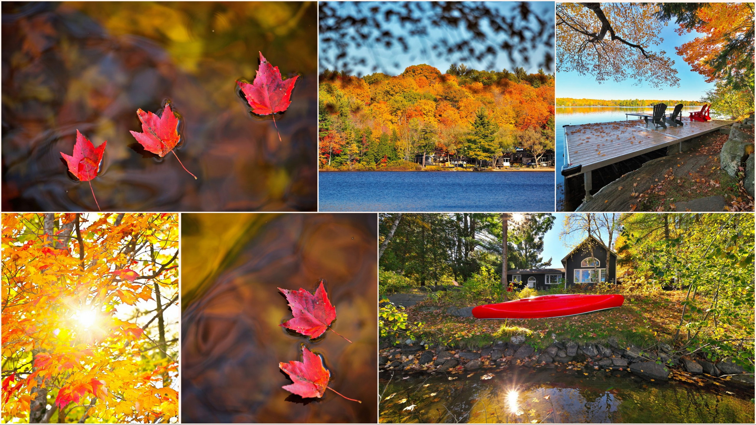 collage of quintessential canadian airbnb images